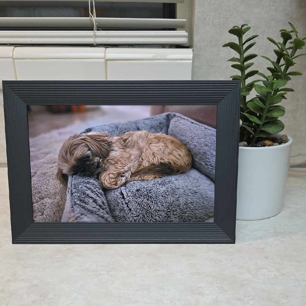 AURA 10" Carver Gravel HD Digital Photo Frame